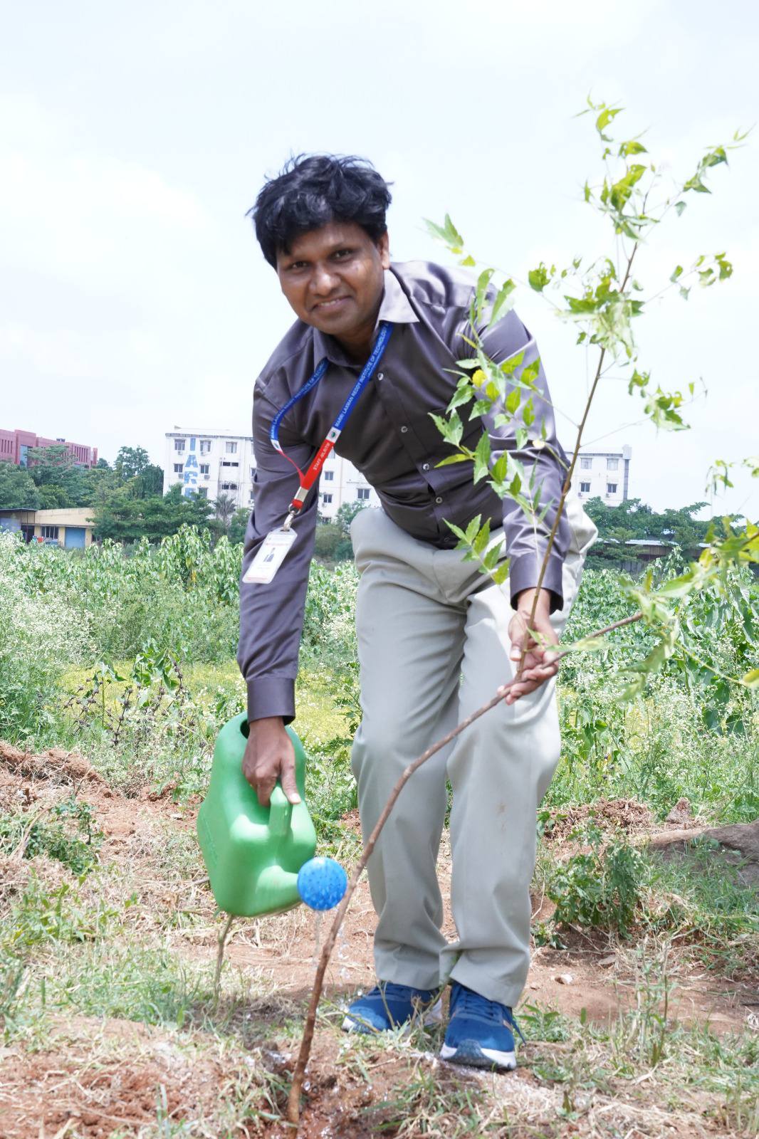 plantation