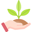 Environment and Sustainability